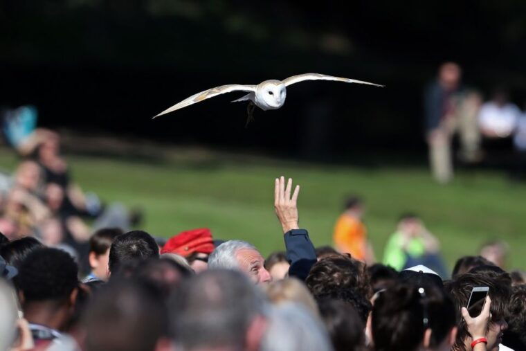 from-london-warwick-oxford-stratford-cotswolds-day-tour