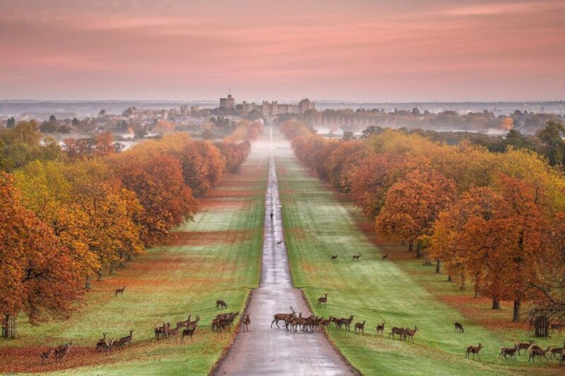 From London: Windsor Castle Royal Afternoon Sightseeing Tour - Time Management and Personal Exploration