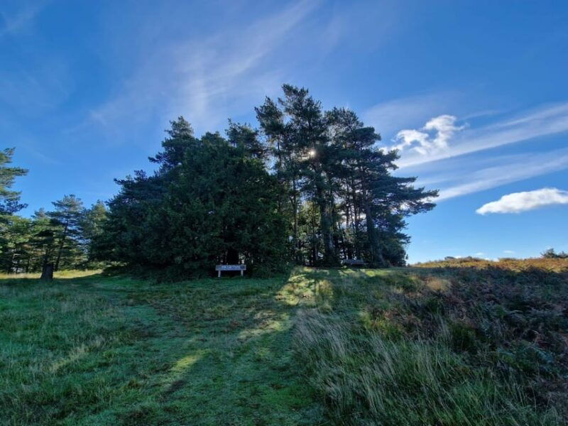 from-london-winnie-the-poohs-hundred-acre-wood-day-tour