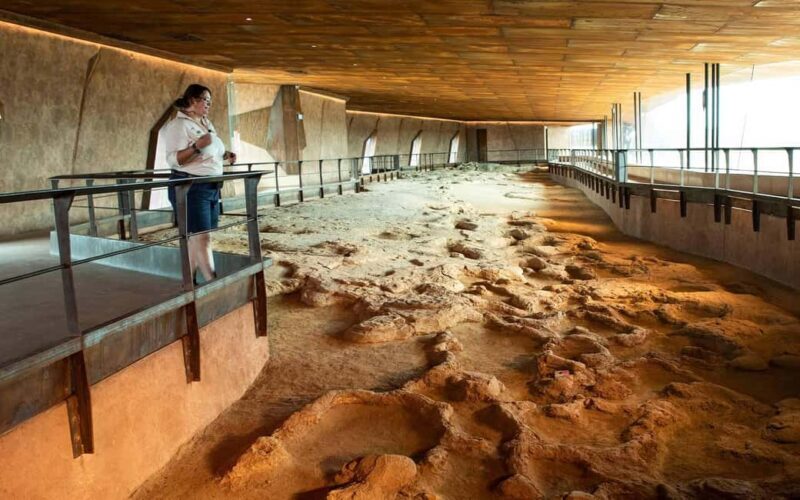 From Longreach: Outback Winton Full Day Tour - Exploring the Day: What You Can Expect
