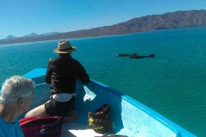 From Loreto: Coronado Island, Sea Lions and Snorkeling Tour - Overview of the Coronado Island, Sea Lions, and Snorkeling Tour