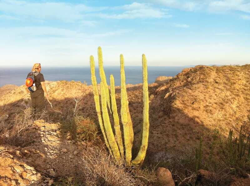 from-loreto-tabor-canyon-guided-hike