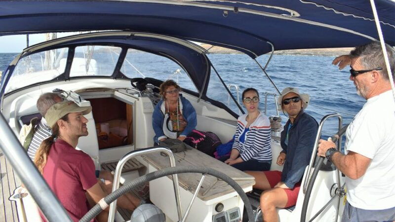 from-los-gigantes-whale-watching-sailboat-cruise