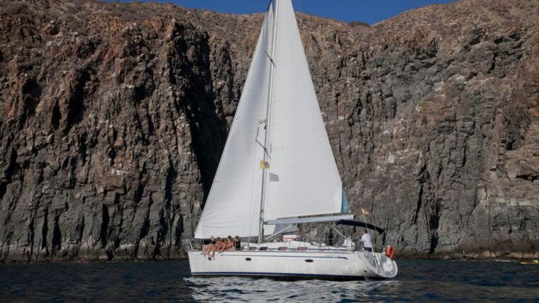 from-los-gigantes-whale-watching-sailboat-cruise