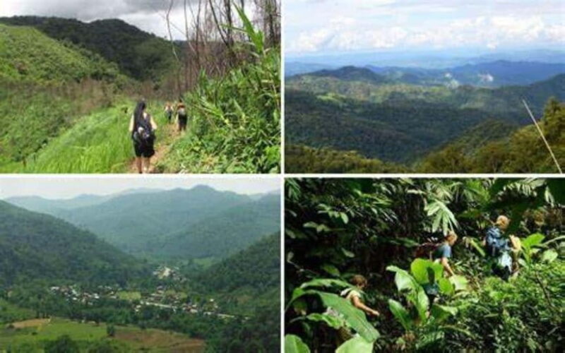 From Luang Prabang: Luang Namtha Hill Tribe Tour - Why Choose This Tour?