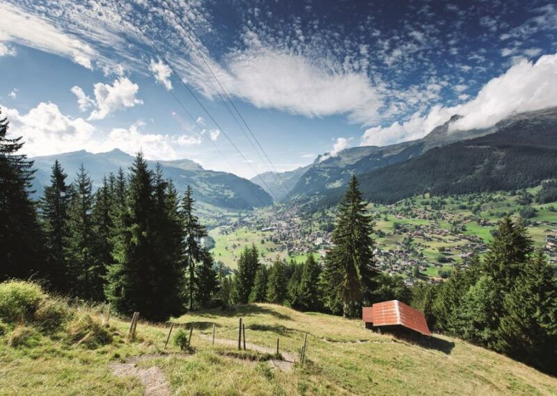 From Lucerne: Day Trip to Grindelwald & Lauterbrunnen - Who Will Love This Tour?