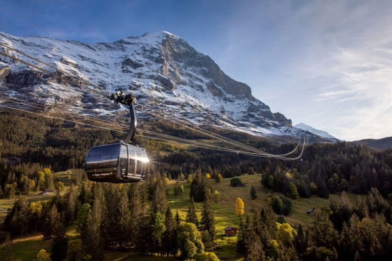 From Lucerne: Day Trip to Jungfraujoch  Top of Europe - Transportation and Logistics