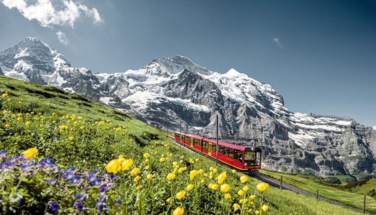 From Lucerne: Day Trip to Jungfraujoch  Top of Europe - Who Will Love This Tour?