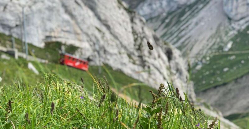 From Lucerne: Mt. Pilatus and Lake Lucerne Private Tour - Itinerary Breakdown: What to Expect