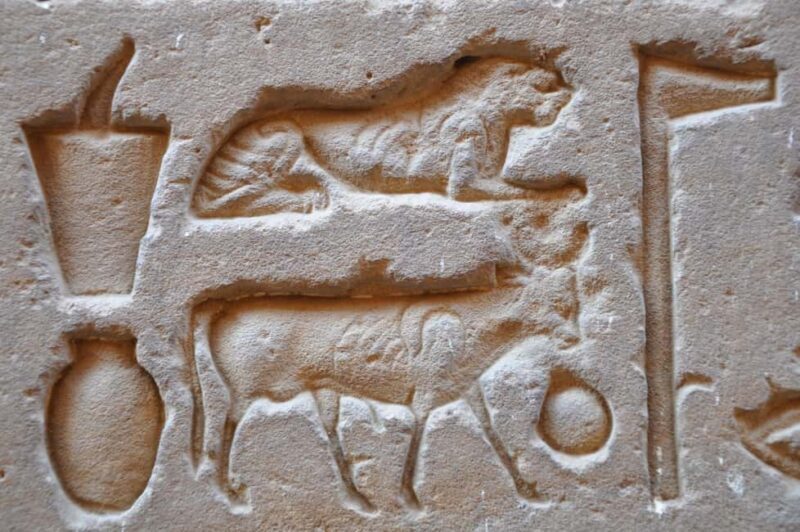 From Luxor: Private Edfu and Kom Ombo Temples Tour & Lunch - Who Should Consider This Tour?