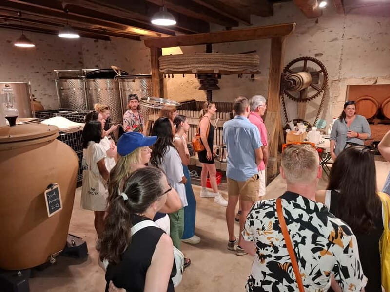 From Lyon: Beaujolais Wine Route Half-Day Tour - Key Points