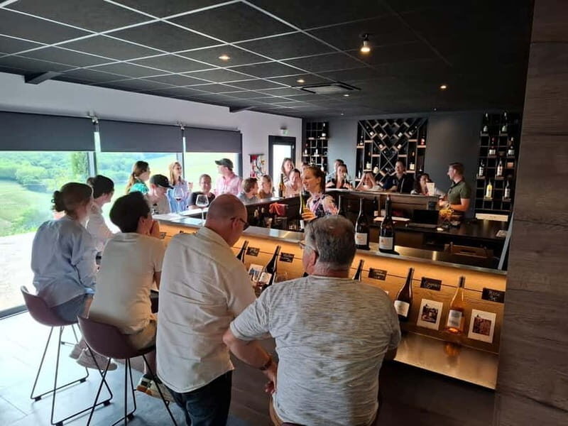 From Lyon: Beaujolais Wine Route Half-Day Tour - A Complete Breakdown of the Experience