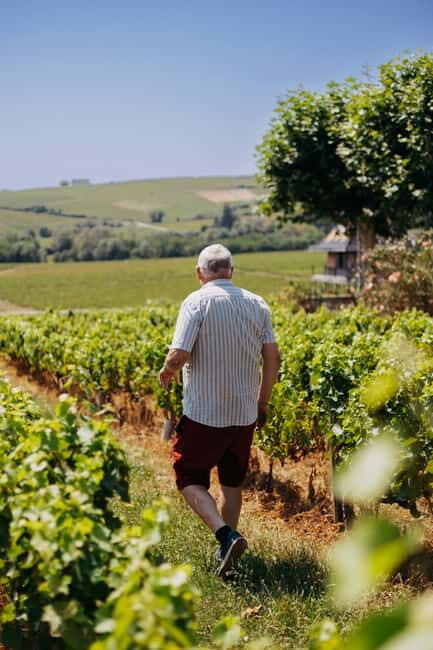 From Lyon: Beaujolais Wine Route Half-Day Tour - Final Thoughts