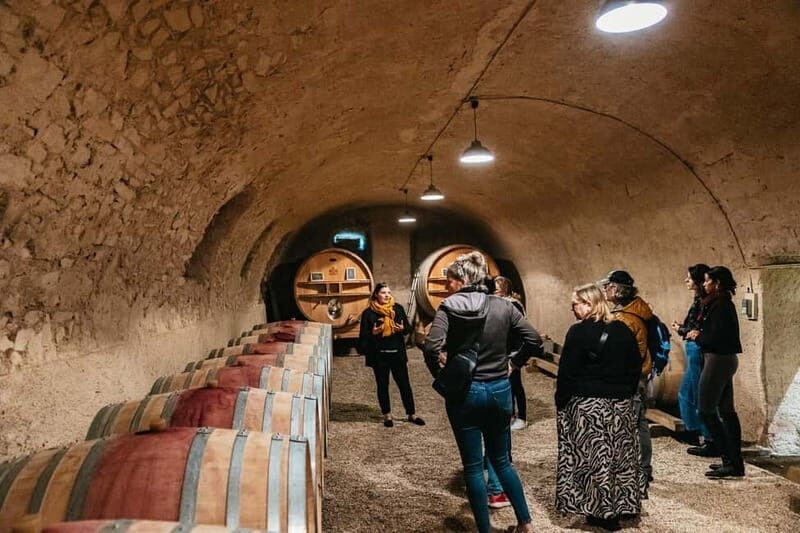From Lyon: Beaujolais Wine Tour with Tastings - Key Points