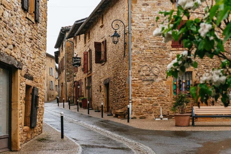 From Lyon: Golden Stones Beaujolais Wine Tasting Tour - A Closer Look at the Tour Experience