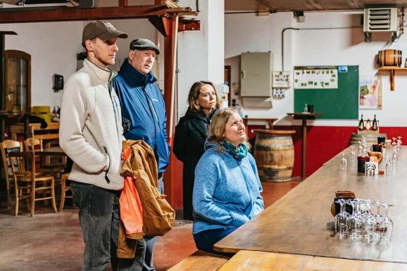 From Lyon: Golden Stones Beaujolais Wine Tasting Tour - Who is This Tour Best For?