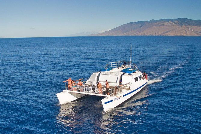 from-maalaea-harbor-maui-whale-watch-cruise-aboard-malolo