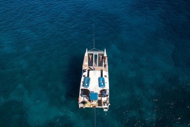 from-maalaea-harbor-sunset-whale-watch-tour-aboard-the-malolo-2