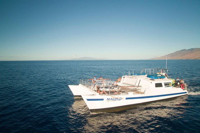 from-maalaea-harbor-whale-watch-cruise-aboard-the-malolo