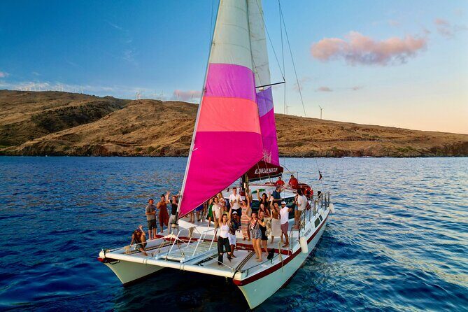 From Maalaea Harbor: Whale Watching Tours Aboard Winona Catamaran - The Itinerary and What You Can Expect
