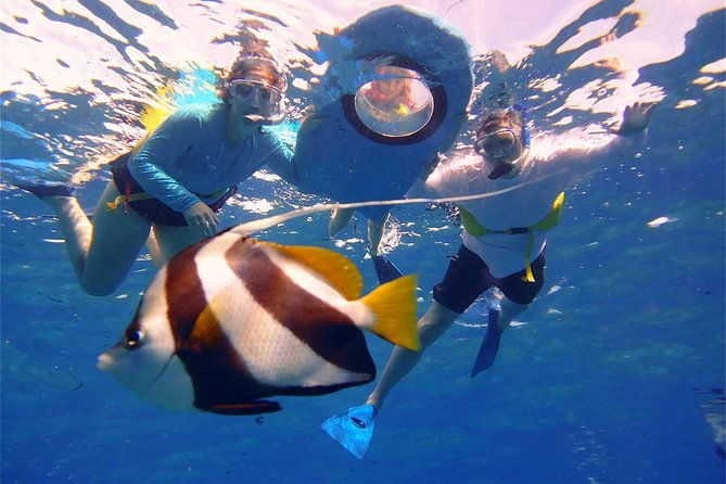 from-maalaea-turtle-town-snorkel-on-quicksilver