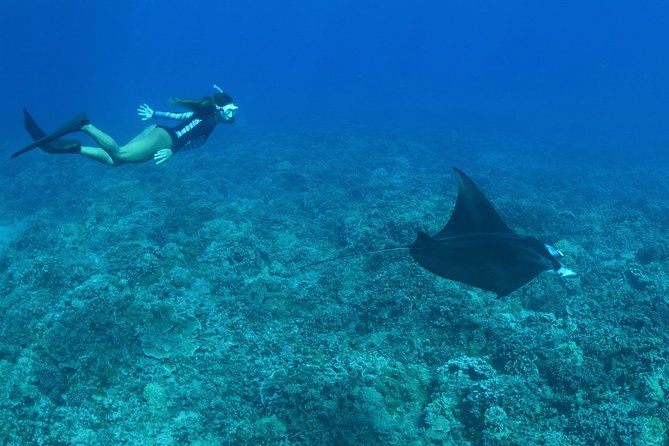 from-maalaea-turtle-town-snorkel-on-quicksilver