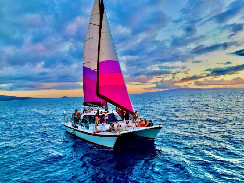 From Maalaea: Whale Watching Catamaran Cruise with Drinks - What’s Included and What’s Not