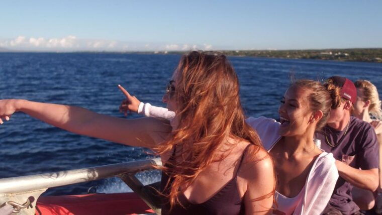 from-maalaea-whale-watching-catamaran-cruise-with-drinks