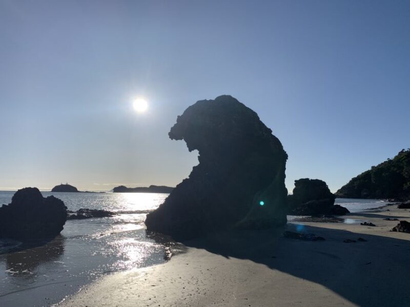 From Mackay: Wallabies on the Beach Sunrise Trip - An In-Depth Look at the Tour Experience