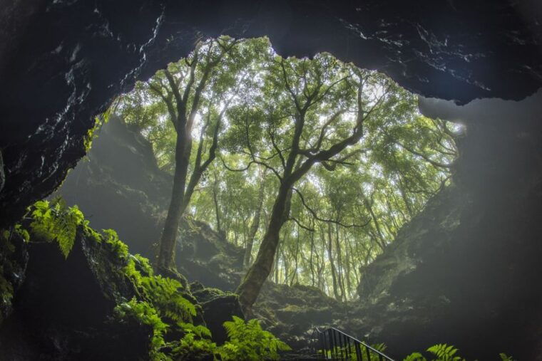 from-madalena-pico-volcanoes-and-lakes-guided-day-tour