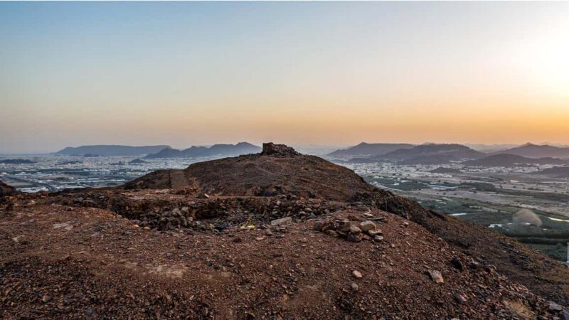 From Madinah: Half-Day Ziarah Tour - Key Points