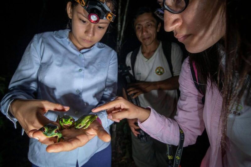 from-madre-de-dios-night-trekking-in-the-amazon-jungle-2