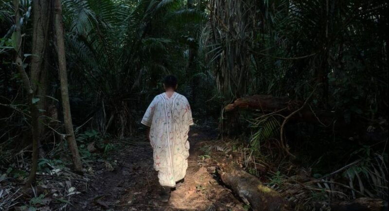 from-madre-de-dios-night-trekking-in-the-amazon-jungle-2