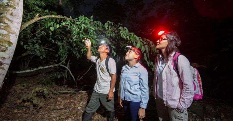 from-madre-de-dios-night-trekking-in-the-amazon-jungle-2