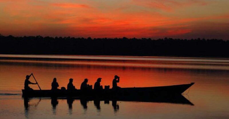 from-madre-de-dios-night-trekking-in-the-amazon-rainforest