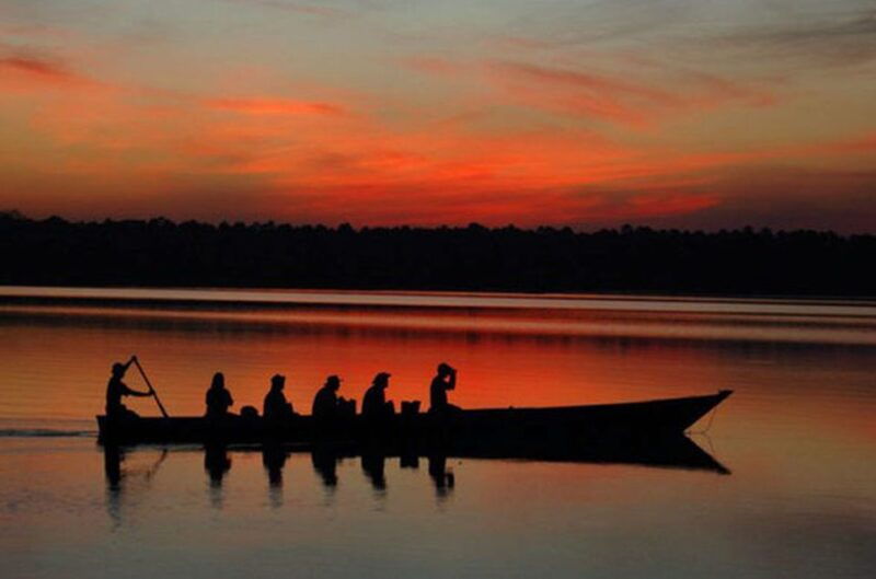 from-madre-de-dios-night-trekking-in-the-amazon-rainforest