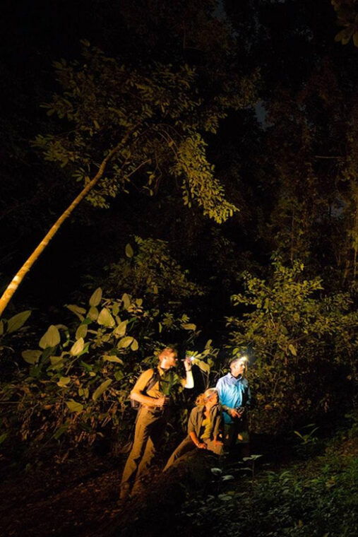from-madre-de-dios-night-walk-in-the-amazon-rainforest