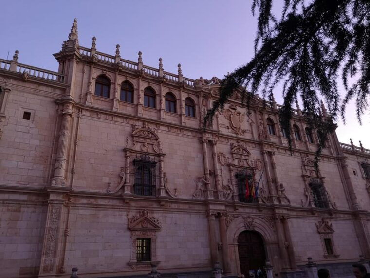 from-madrid-alcala-de-henares-winery-tour-wine-tasting