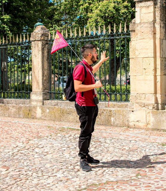 from-madrid-avila-and-segovia-guided-day-trip