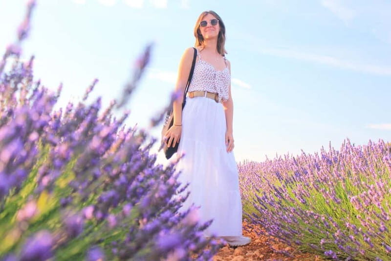 From Madrid: Brihuega Lavender Fields Guided Tour - Key Points