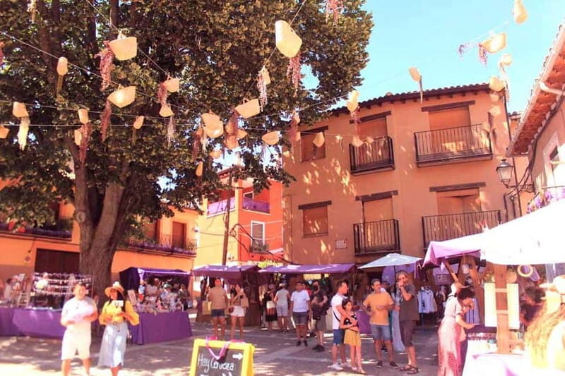 From Madrid: Brihuega Lavender Fields Guided Tour - A Detailed Look at the Brihuega Lavender Fields Guided Tour