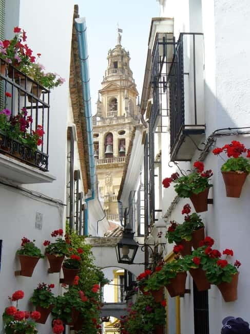 From Madrid: Cordoba and Mosque Day Trip by High-Speed Train - A Closer Look at the Tour Experience
