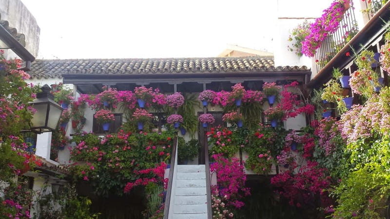 From Madrid: Cordoba and Mosque Day Trip by High-Speed Train - Who Might Want Something Different?