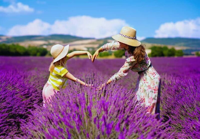 From Madrid: Day Trip to Brihuega Lavender Fields - The Sum Up
