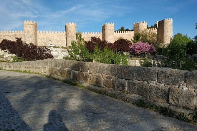 from-madrid-full-day-avila-and-segovia-combo-tour-with-transportation