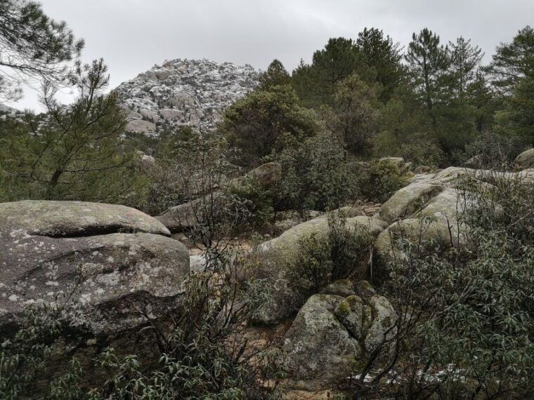 from-madrid-guadarrama-national-park-private-tour