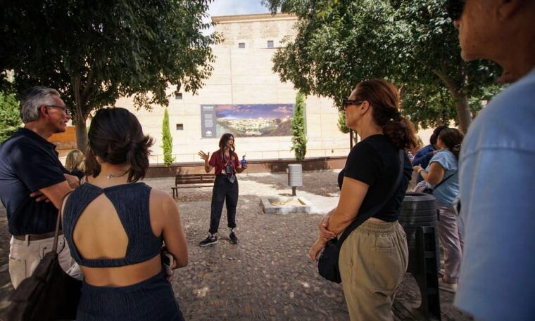 from-madrid-guided-day-trip-to-toledo-by-bus