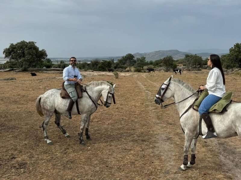 from-madrid-horseback-riding-experience