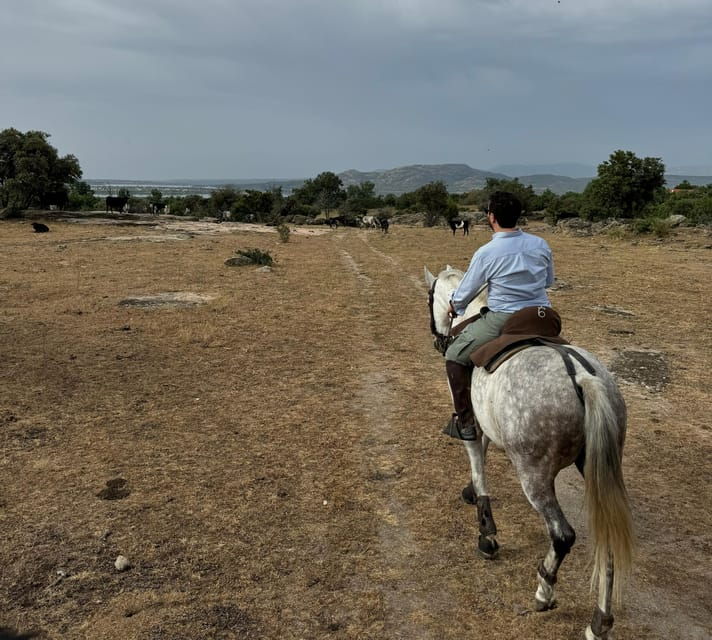 from-madrid-horseback-riding-experience