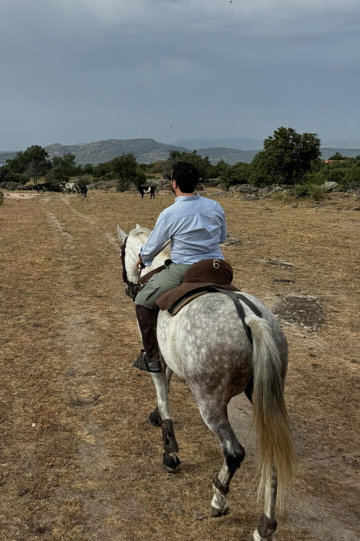 from-madrid-horseback-riding-experience